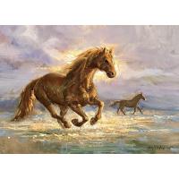 Remzi Taşkıran Dalgaların Ritmi