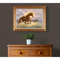 Remzi Taşkıran Dalgaların Ritmi