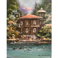 Remzi Taşkıran Tarihi Yalılar