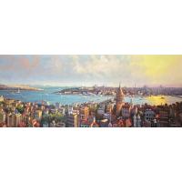 Ressam Faysal İstanbul Manzarası 